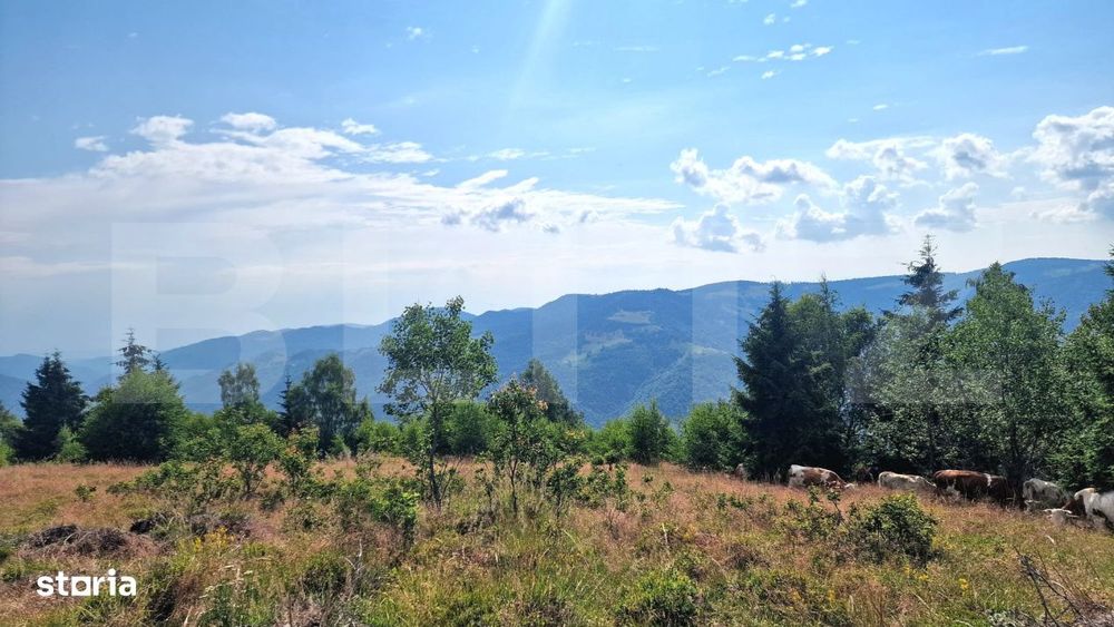 Teren 6682 mp cu panorama superba, parcelabil | Maguri-Racatau