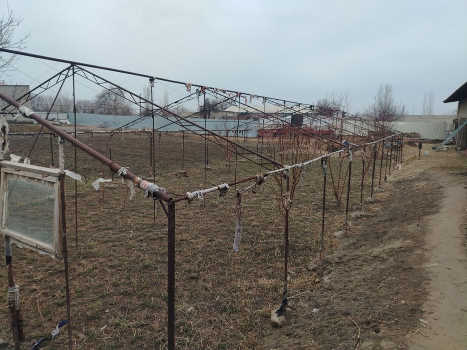 Парник сотилади тез арзон