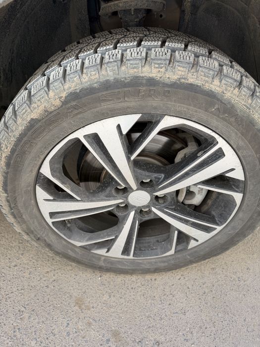 Шины  от кроссовера Jac Js6