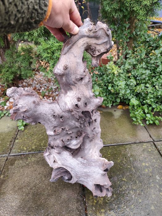 Lemn decor pentru acvariu