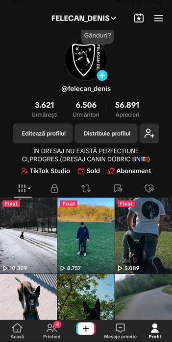 Dresaj canin  Bistrița