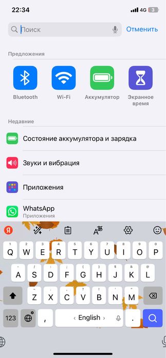 Айфон  ХР в корпусе 17 Про