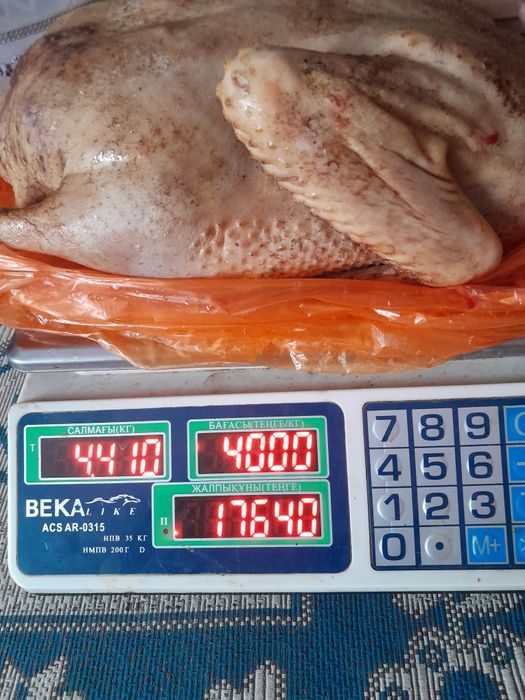 Мясо утки,цесарки,индоутки