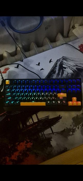 Клавиатурата Genesis Thor 230 tkl
