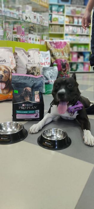 Кабель ищет девочку