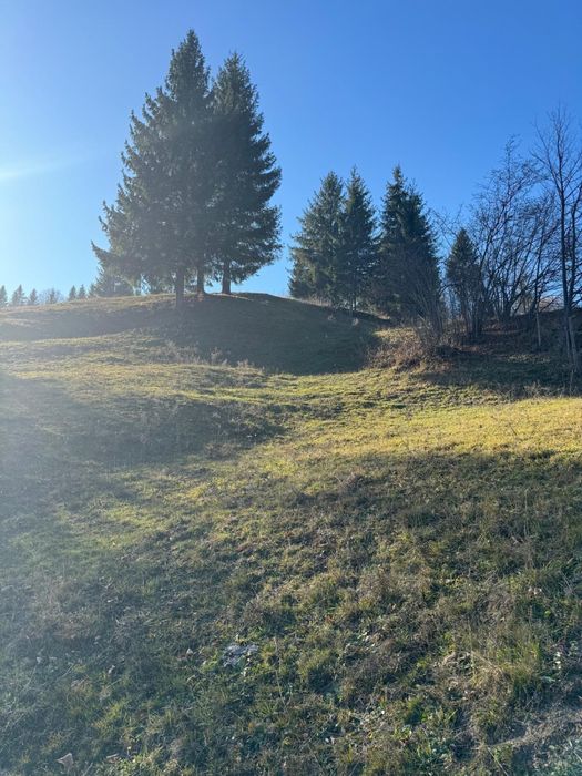 Teren de vanzare -Vama, 13.050 mp, Strâmtura