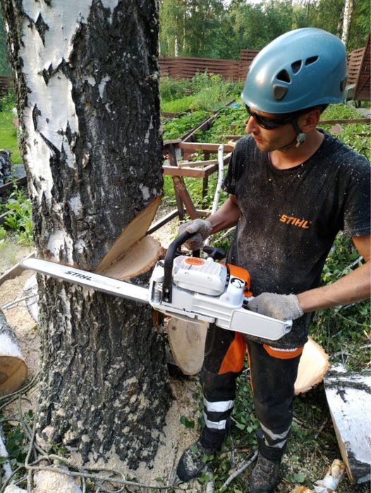 Спил деревьев и Распил деревев