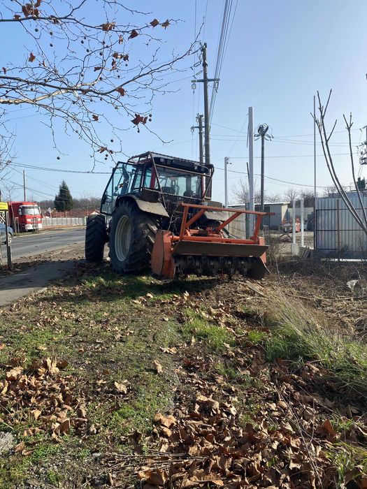 Curatare teren de vegetatie : ambrozie, arbusti, buruieni, maracini