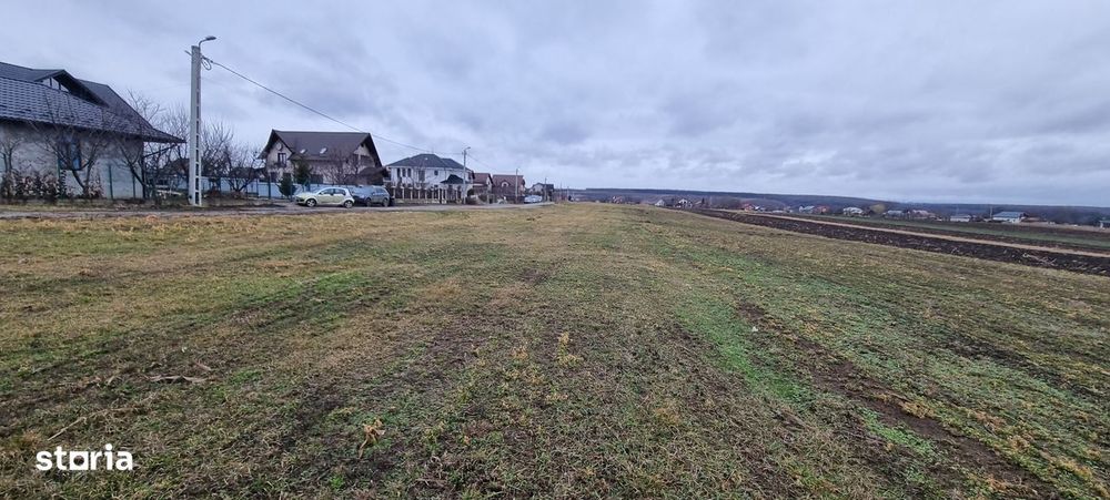 Terenuri intravilane la Tulbureni si intrare Curtesti