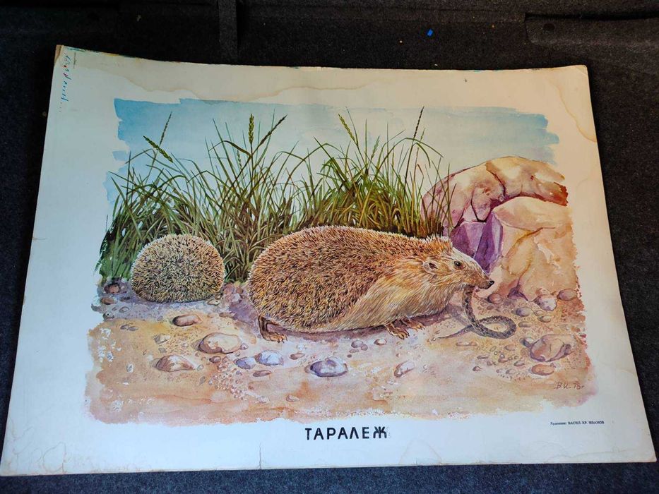 Стари училищни плакати