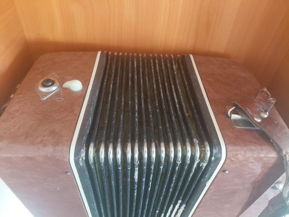 Баян жағдайы жақсы 60000 га