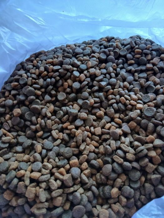 Продам недорого корм сухой, для кошек. Проплан