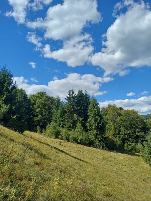 Vand teren in Munții Apuseni