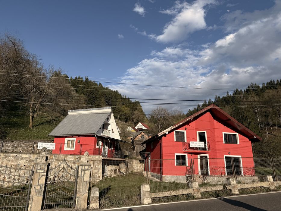 Vilă de vânzare- Hangu, Neamț
