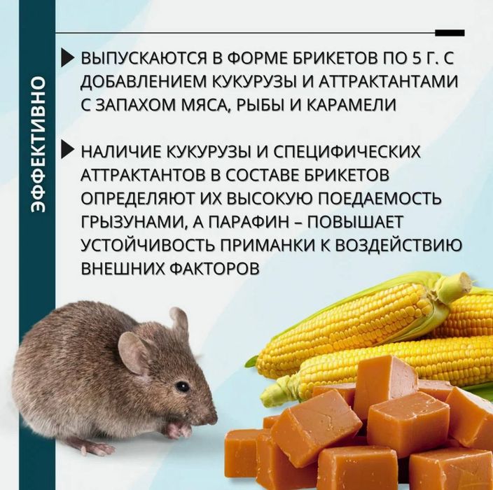 Килмайс отрава от крыс мышей 3 кг парафиновые брикеты