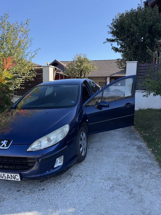 PEUGEOT 407 2004 — imagine 2