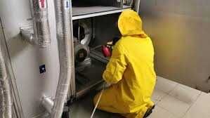 дезинфекция в ташкенте dezinfeksiya tashkent уничтожение клопов тарака