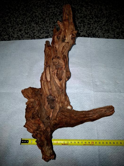 Vand buturuga pentru acvariu