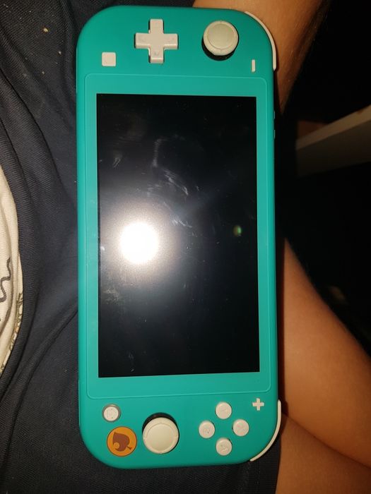 9Nintendo Switch Lite.