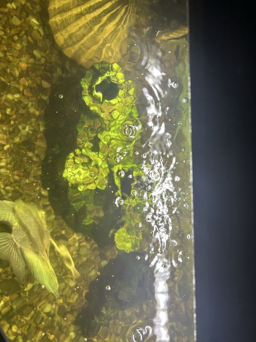 Acvariu utilat total 60L