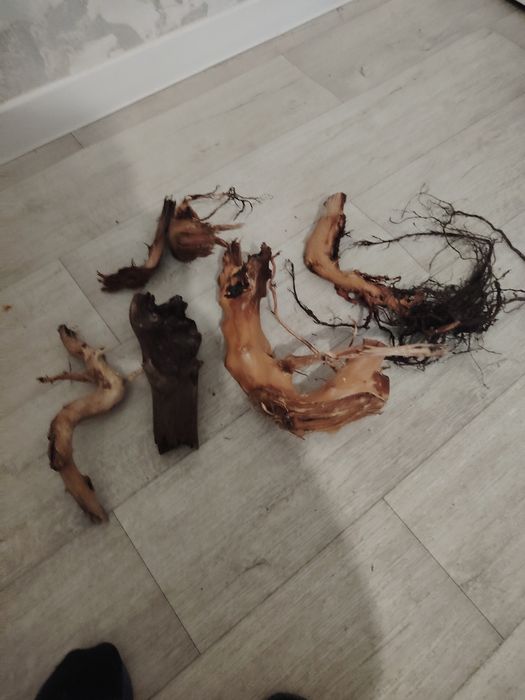 Продам коряги для аквариума