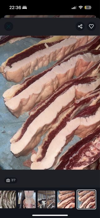 Согым продам . соғым сатылымда.Петерфельд