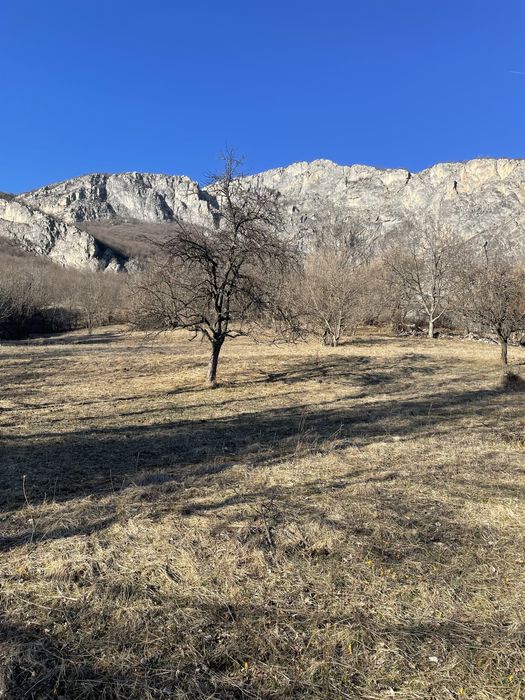 Продава се Парцел в с. Згориград, Област Враца - 3000 кв.м за 14 €/кв.м - Снимка #10