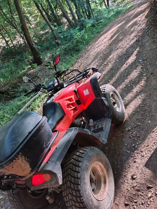 ATV buiang (Linhai)