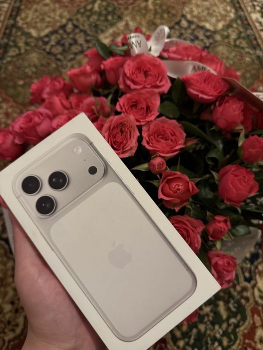 Iphone 17 pro/pro max