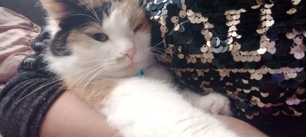 4-yanvar kuni Chirchiq bozorida kim sotvogan bosa manga tel qilila