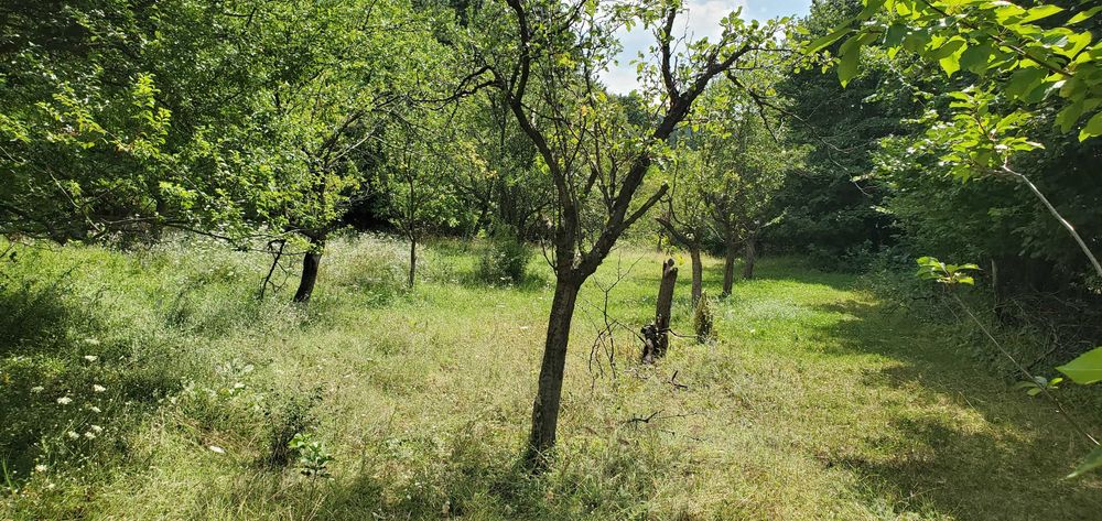 ИМОТ 2,160 дка, град Карлово, Конлука