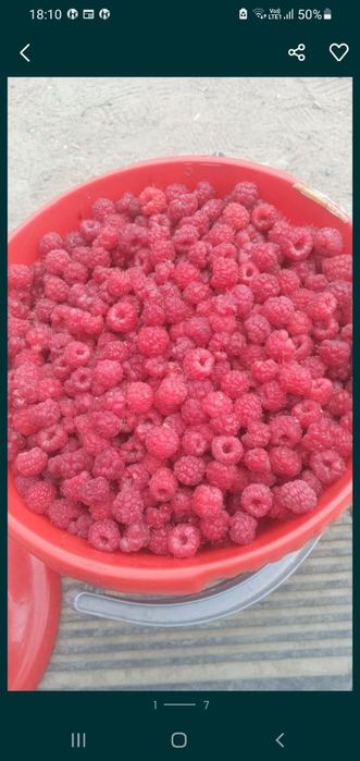 Продам  малину сладкие