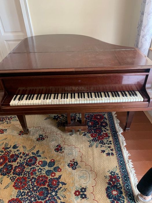 Pian coada scurta Blüthner