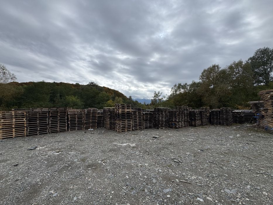 Europaleti si noneuro de vanzare