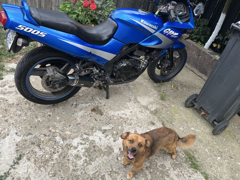 Kawasaki ninja500 2001 carburatie