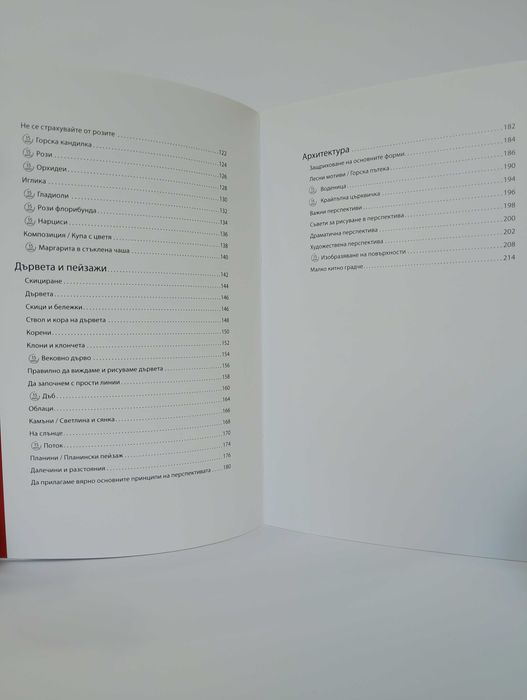 Изкуството да рисуваш за 15 минути