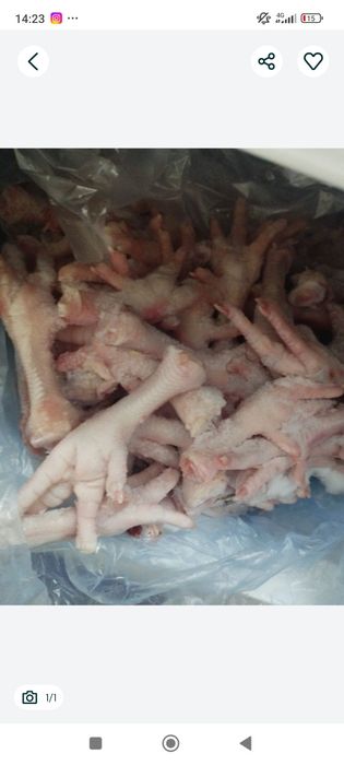 Набор для животных 500 тг кг