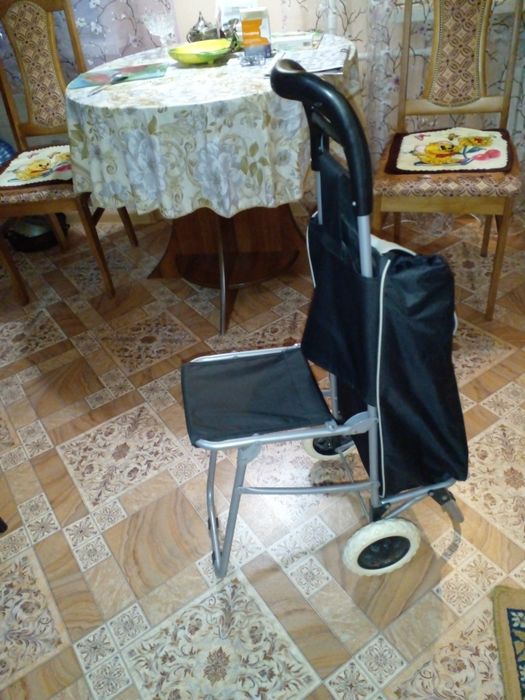 Сумка на колесах