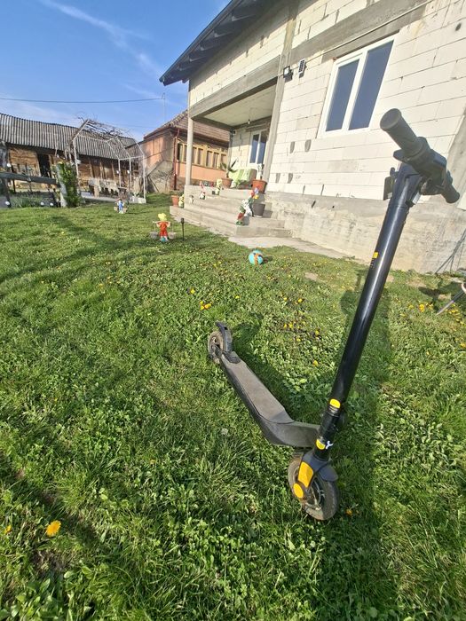 Trotinetă electrică? LEXGO..