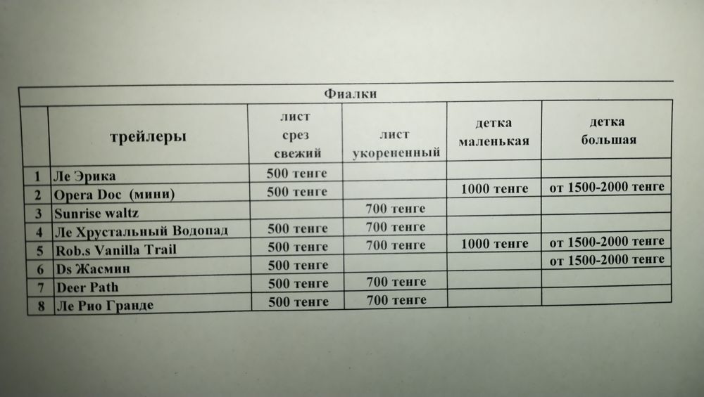 Продам фиалки (трейлеры)