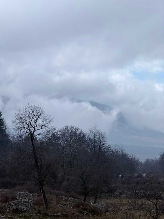 Двустаен апартамент в Банско