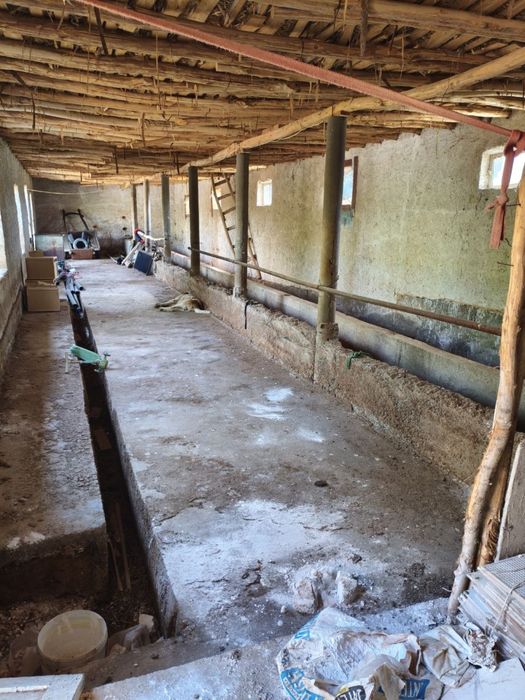 Помещение для фермы в аренду