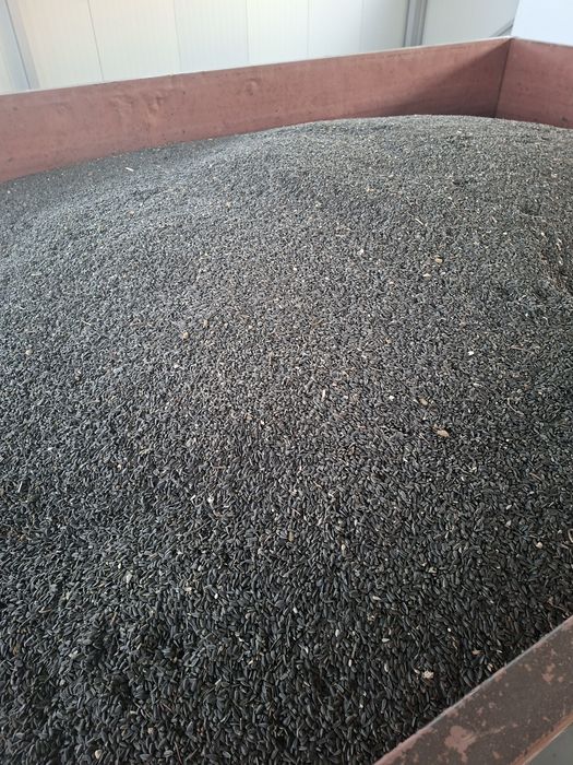 Floarea Soarelui;semințe