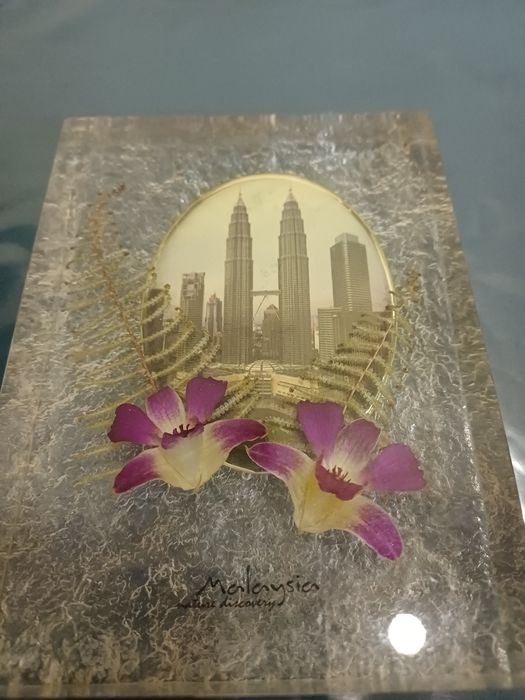 Это сувенир из Малайзии под названием «Malaysia Nature Discovery».