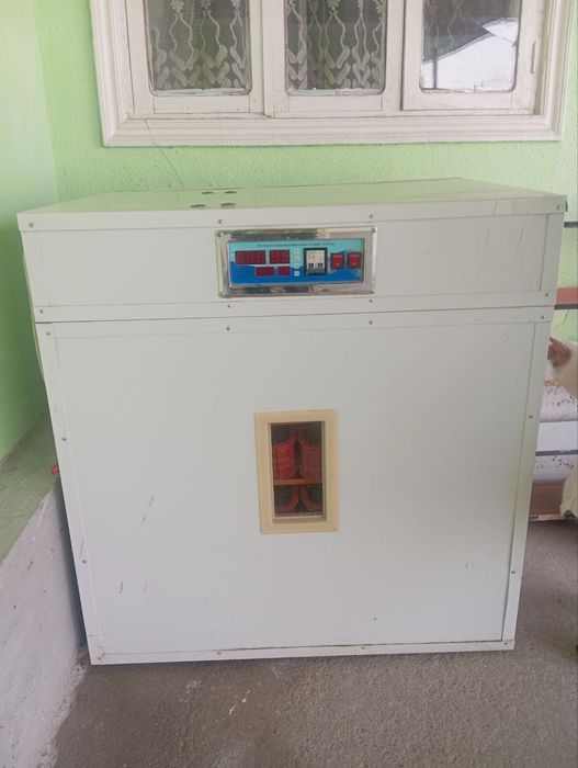 Inkubator. 600ta tuxum qoyiladi