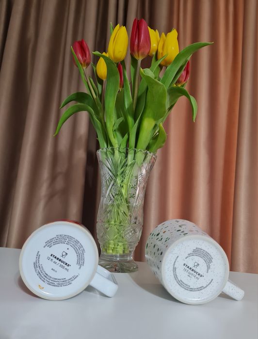 Cana Starbucks-editie limitata