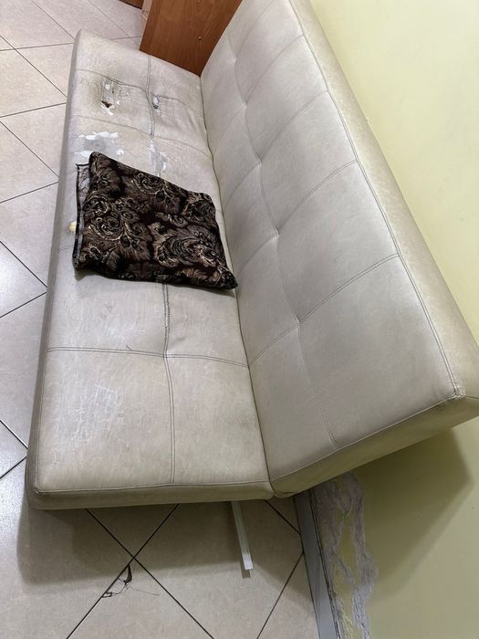 Даром бесплатно отдают