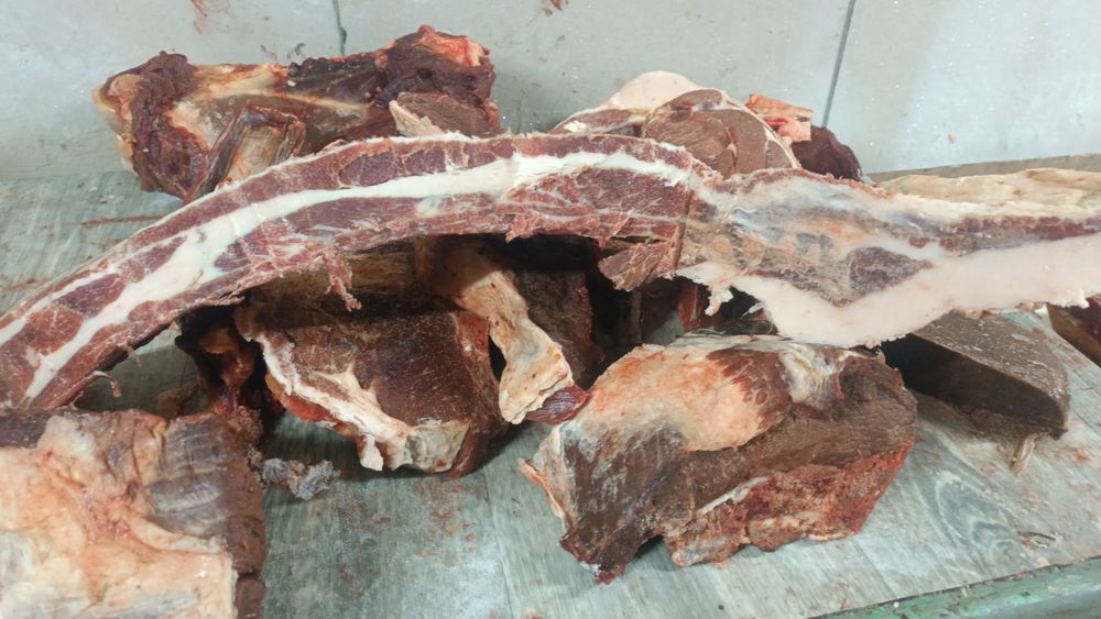 Капчены мяса конины. Сүр ет.