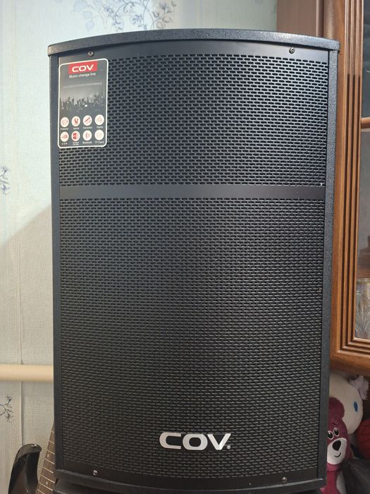 Аудиосистема колонка Cov cv125