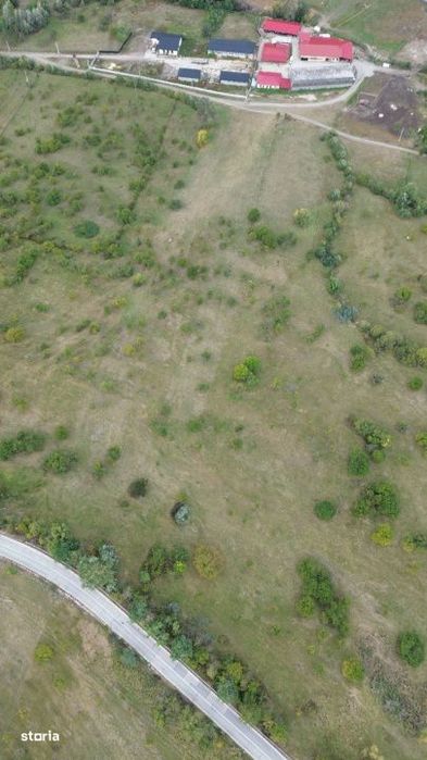 Teren 8.043 mp la DN73C Berevoesti – 3€/mp! Oportunitate rara